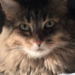 Meet your Posher, Jeanelle